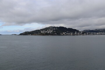 Fototapeta premium Baie de Wellington, Nouvelle Zélande 