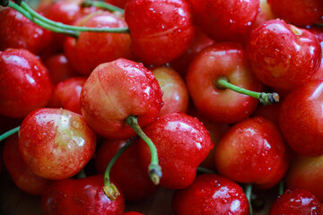 delicious juicy cherries in drops of water