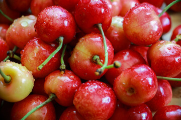 delicious juicy cherries in drops of water