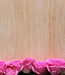 Pink roses on a wooden background