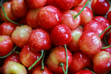 delicious juicy cherries in drops of water