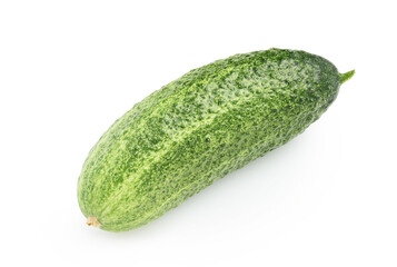 one cucumber isolated on white. bright color