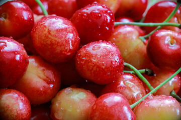 delicious juicy cherries in drops of water