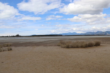 Marais de la région de Nelson, Nouvelle Zélande
