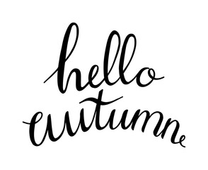 Vector hand written lettering quote hello autumn. Modern calligraphy phrase. Hello Autumn hand written. Black ink on a white background isolated. Printing and prints for autumn goods.