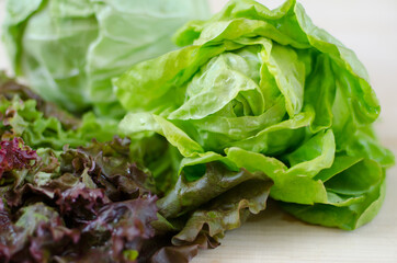 Close up view of fresh green and red lettuce salad leaves