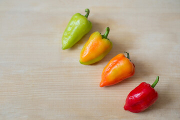Mix of multi-colored fresh organic paprika on a bright wooden background