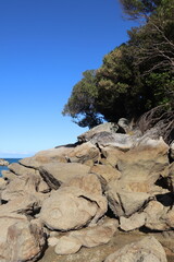Fototapeta na wymiar Littoral rocheux à Kaiteriteri, Nouvelle Zélande 
