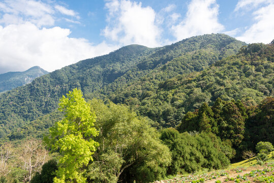 Beautiful scenic view from Dali Village in Taroko National Park, Xiulin, Hualien, Taiwan. © beibaoke