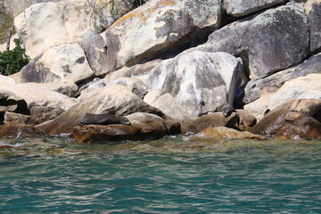 Otaries du parc Abel Tasman, Nouvelle Zélande