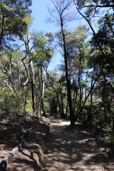 Sentier de randonnée du parc Abel Tasman, Nouvelle Zélande	