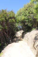 Fototapeta na wymiar Sentier de randonnée du parc Abel Tasman, Nouvelle Zélande 