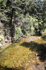Rivière du parc Abel Tasman, Nouvelle Zélande	