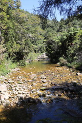 Rivière du parc Abel Tasman, Nouvelle Zélande	