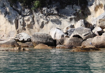 Otaries du parc Abel Tasman, Nouvelle Zélande