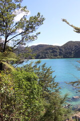 Fototapeta na wymiar Baie du parc Abel Tasman, Nouvelle Zélande 