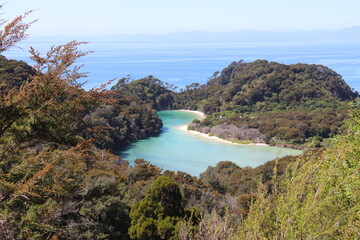 Fototapeta premium Lac turquoise du parc Abel Tasman, Nouvelle Zélande 