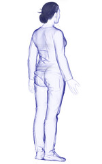 3d rendered illustration of the female body