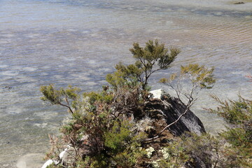 Littoral du parc Abel Tasman, Nouvelle Zélande	