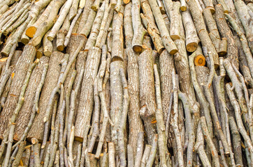 Chopped wood for the fireplace close-up. Wooden logs. Autumn natural background. Copy space. Selective focus image.