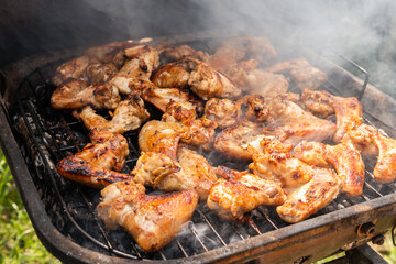 A lot of tasty, delicious, savoury meet (chicken wings) with pleasant odor and meat haze on the grill in the village