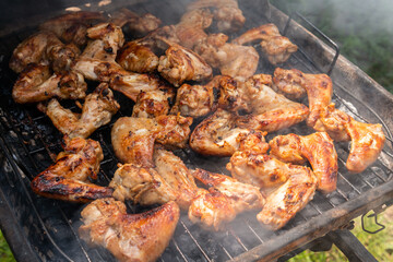 A lot of tasty, delicious, savoury meet (chicken wings) with pleasant odor and meat haze on the grill in the village