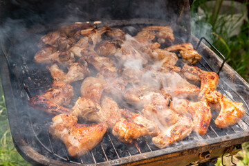 A lot of tasty, delicious, savoury meet (chicken wings) with pleasant odor and meat haze on the grill in the village