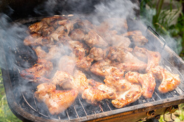 A lot of tasty, delicious, savoury meet (chicken wings) with pleasant odor and meat haze on the grill in the village