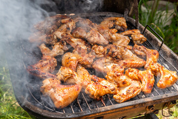 A lot of tasty, delicious, savoury meet (chicken wings) with pleasant odor and meat haze on the grill in the village