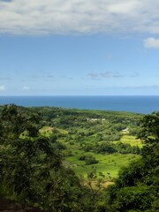 View of the sea from the side of a hill