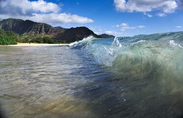 wave in Hawaii