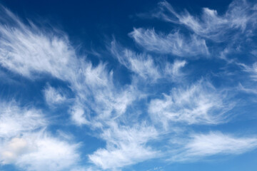 Obraz premium Blue sky covered with white cirrus clouds. Summer cloudscape, beautiful weather background