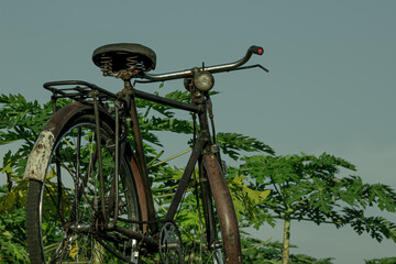 Rusty retro bicycle park near the rice field in Indonesia.