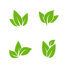 Leaf symbol vector icon and symbol