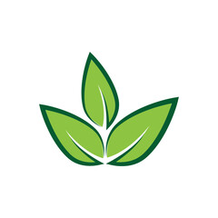 Leaf symbol vector icon and symbol