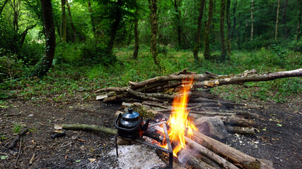 Campfire in forest, Camping in nature