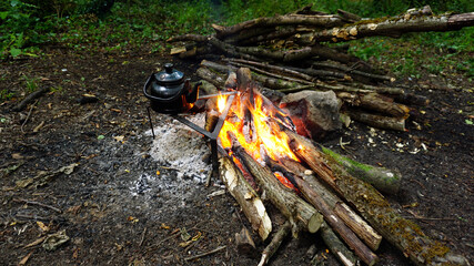 Campfire in forest, Camping in nature