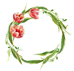 Romantic wreath of red tulips on a white background, watercolor drawing