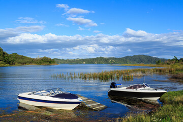 Motorboats and water plants at the edge of a lake. Photographed at Lake Rotoma in the Rotorua Lakes District, New Zealand