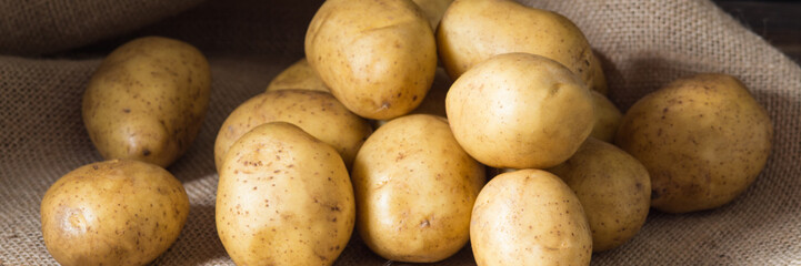 Lots of potatoes on the table. The concept of vintage. Potatoes close-up. Banner