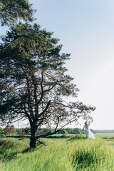 back view of woman in  white dress standing in the meadow with trees 