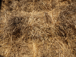 Ready-to-use hay straw