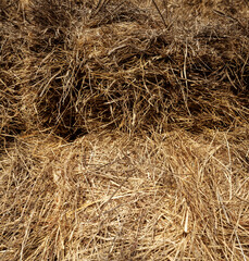 Ready-to-use hay straw