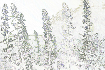 wildflowers on a  leafy background