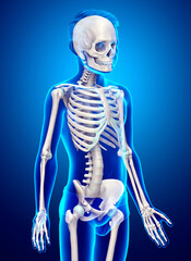 3d rendered, medically accurate illustration of a young boy skeleton system