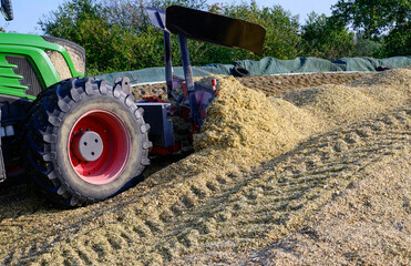 Maisernte, Mais Silage Haufen mit Traktor festfahren