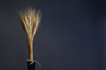 yellow spike on a black background photographed horizontally