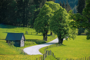 Obraz premium Scenic view of an idyllic alpine pasture at the Schladminger Tauern mountain range near the Steirischer Bodensee, Schladming region, Styria, Austria