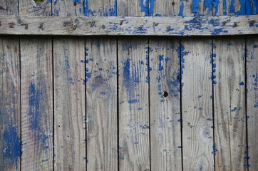 Old shabby boards with peeling blue paint