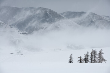 Winter in mountains. Blizzard. Snow.